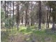 0 Lambert Springs Road, Cookamidgera NSW 2870