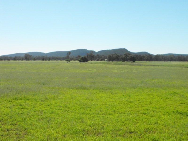 3544 Condobolin Road, Bogan Gate NSW 2876