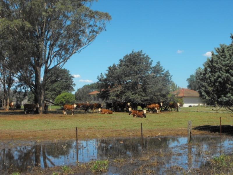 0 Military Road, Parkes NSW 2870