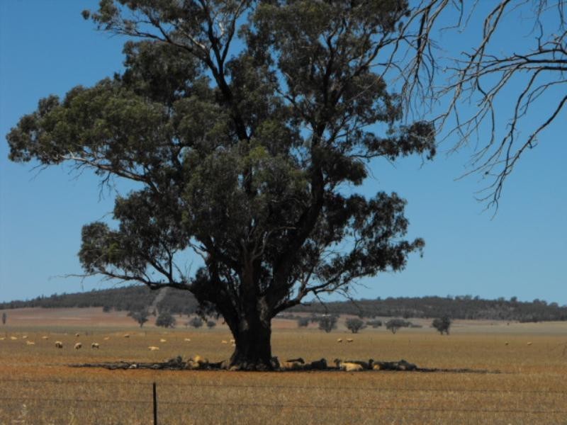 0 Military Road, Parkes NSW 2870