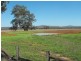 0 Military Road, Parkes NSW 2870