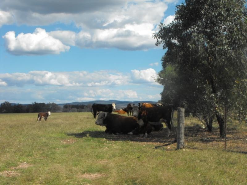 301 Lake Metcalfe Road, Parkes NSW 2870