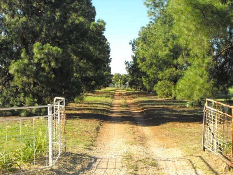 3544 Condobolin Road, Bogan Gate NSW 2876