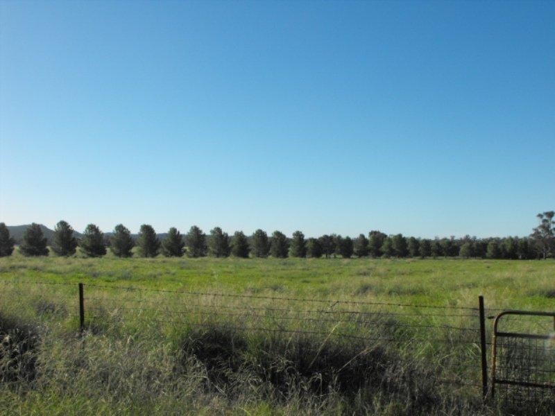 3544 Condobolin Road, Bogan Gate NSW 2876