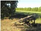 3544 Condobolin Road, Bogan Gate NSW 2876
