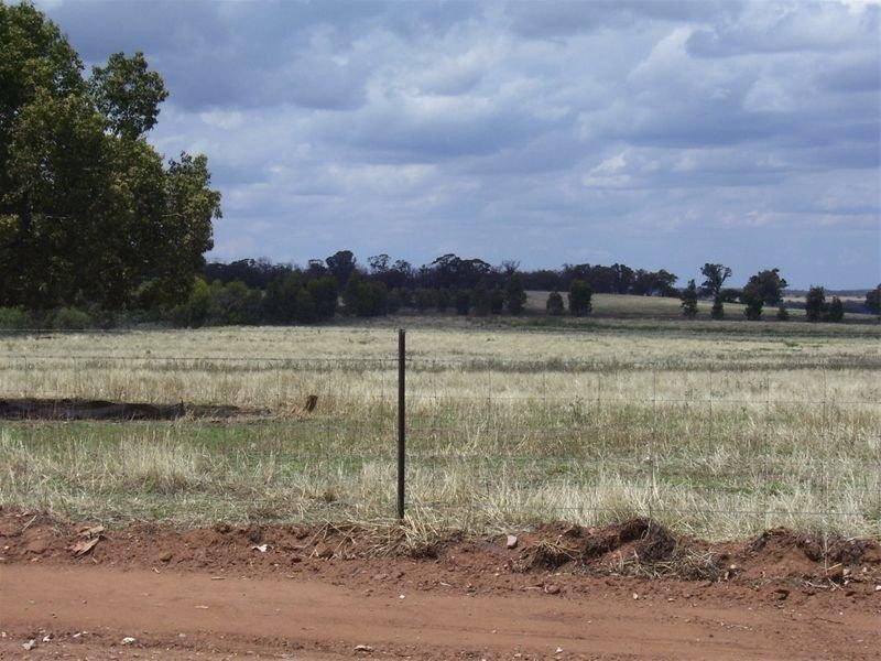 Lot 2 Cookamidgera Road, Parkes NSW 2870
