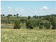 Lot 3 Cookamidgera Road, Parkes NSW 2870
