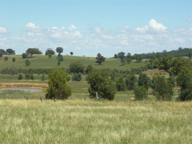 Lot 3 Cookamidgera Road, Parkes NSW 2870