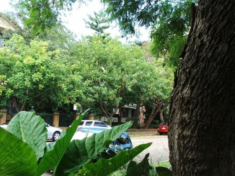 5/50 Albert Street, North Parramatta NSW 2151