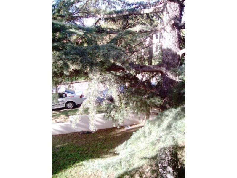 6/57 Weston Street, Harris Park NSW 2150