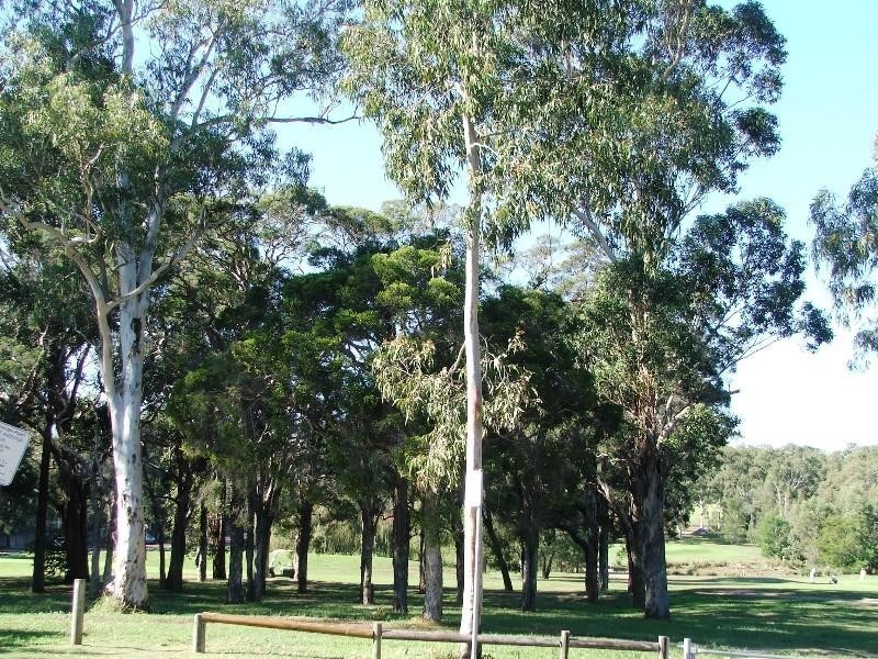 2/1 Bailey Street, Westmead NSW 2145