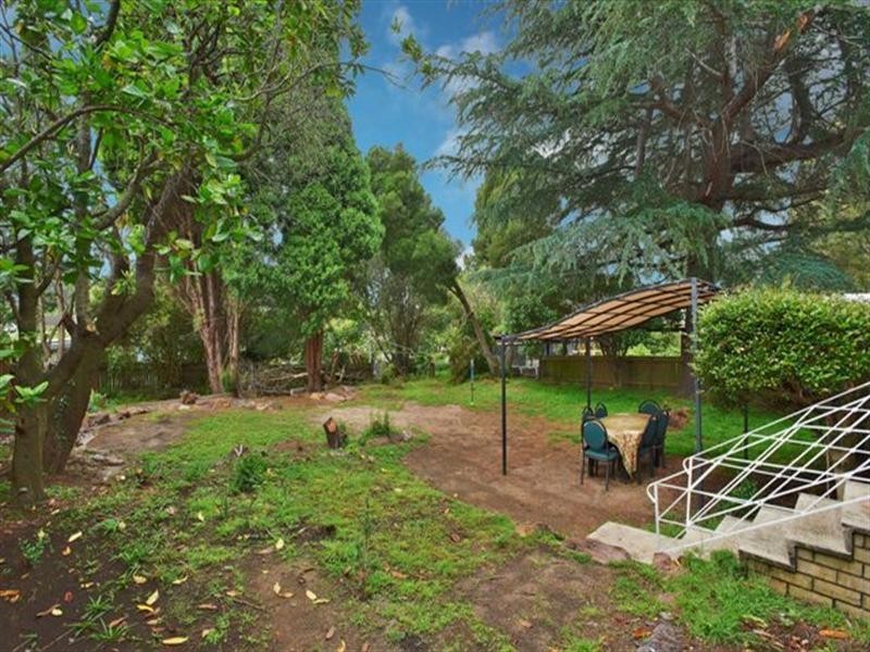 769 Pennant HIlls Road, Carlingford NSW 2118