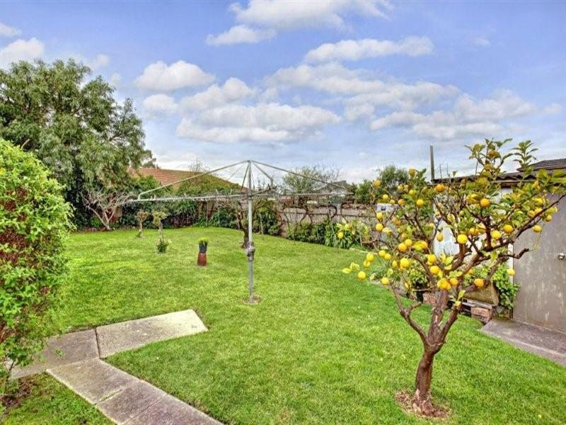 16 Pearcey Grove, Pascoe Vale VIC 3044