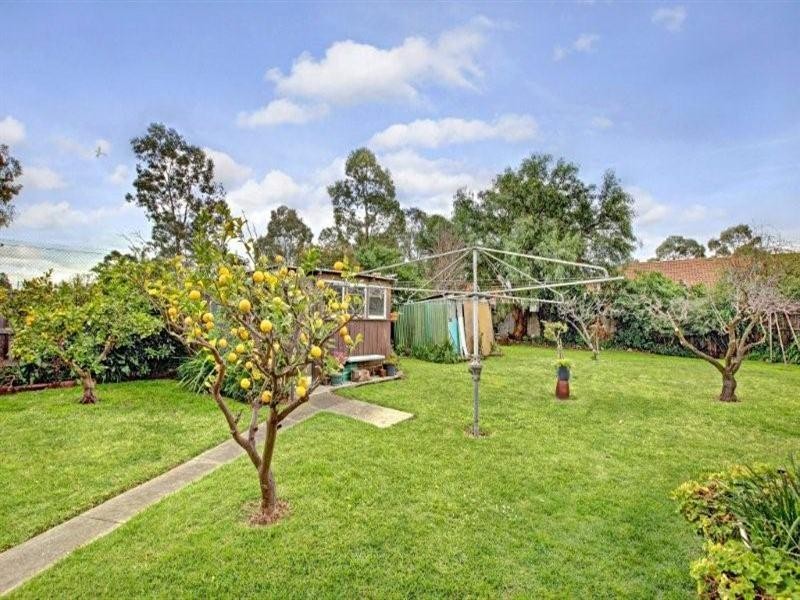 16 Pearcey Grove, Pascoe Vale VIC 3044