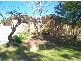 Jamisontown NSW 2750