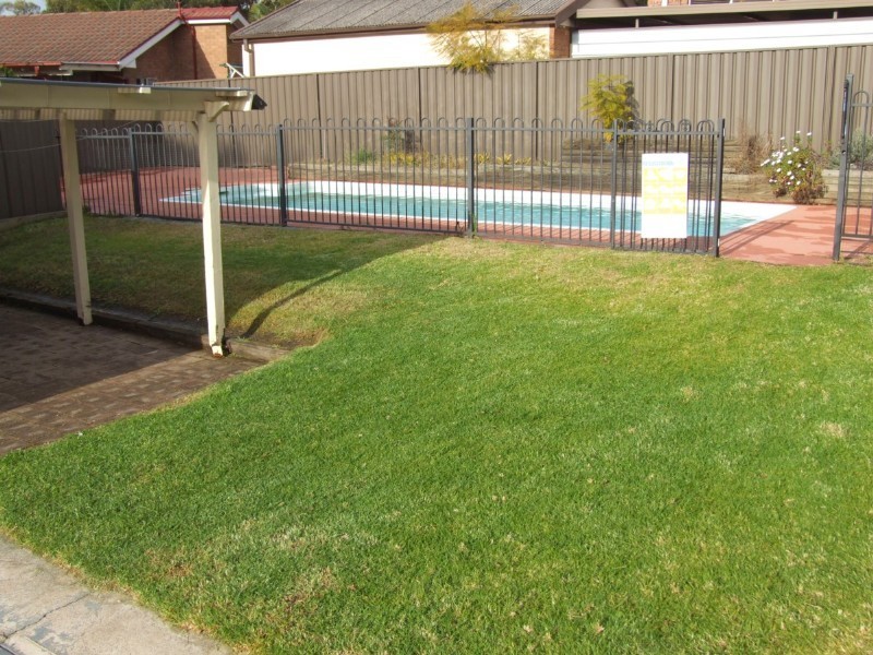 Jamisontown NSW 2750