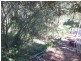 Blaxland NSW 2774