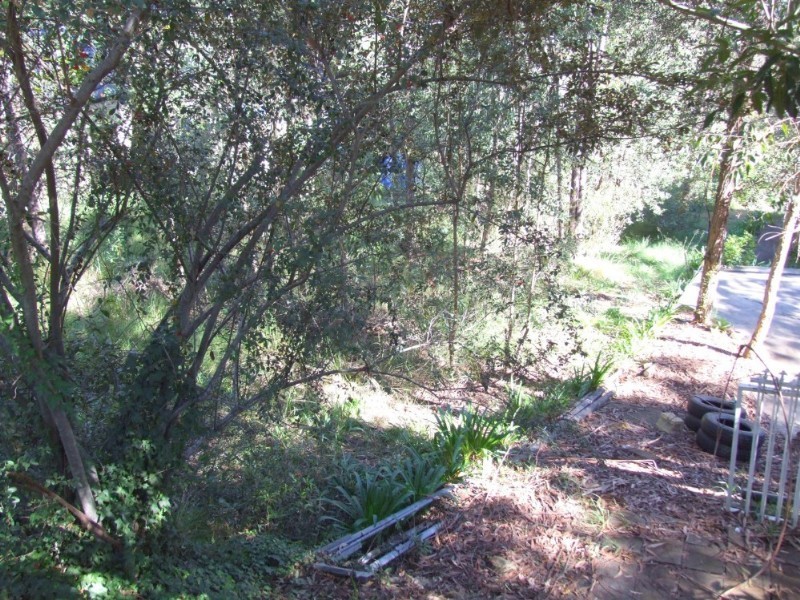 Blaxland NSW 2774