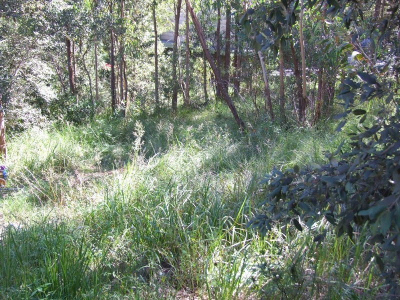 Blaxland NSW 2774
