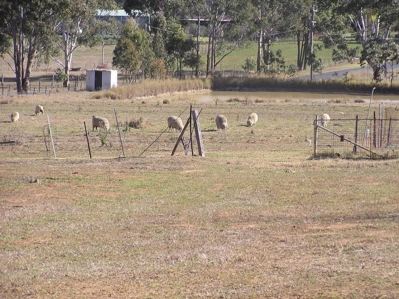 56 Polo Road, Rossmore NSW 2557