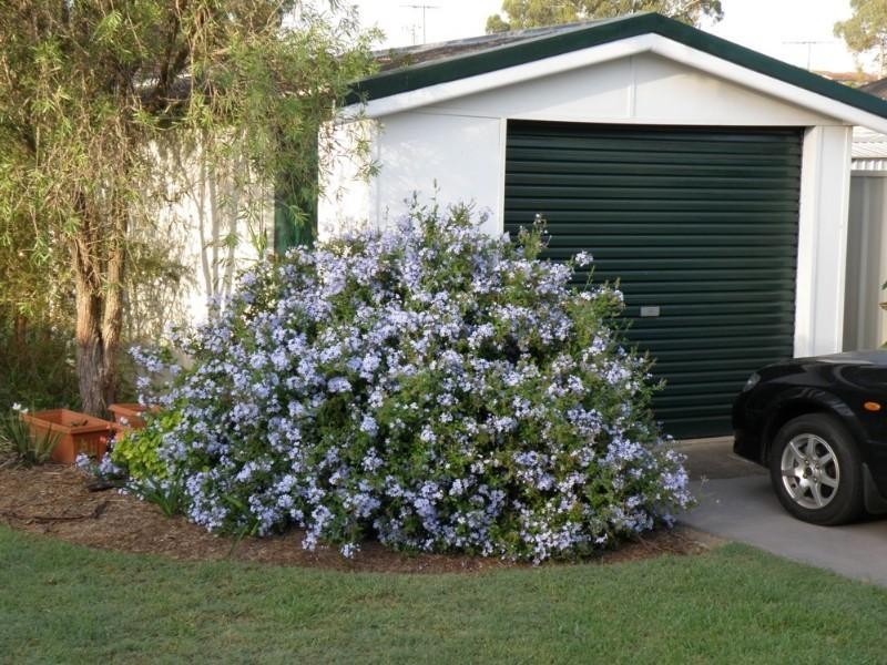 Cambridge Park NSW 2747