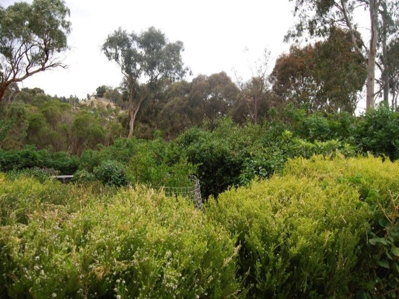 70B Sellars Street, Watsonia VIC 3087