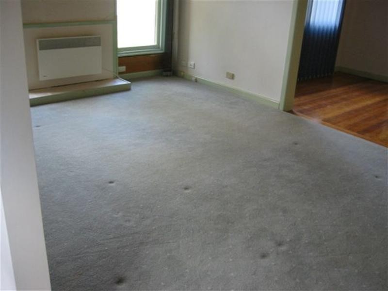 93 Oriel Road, Ivanhoe East VIC 3079