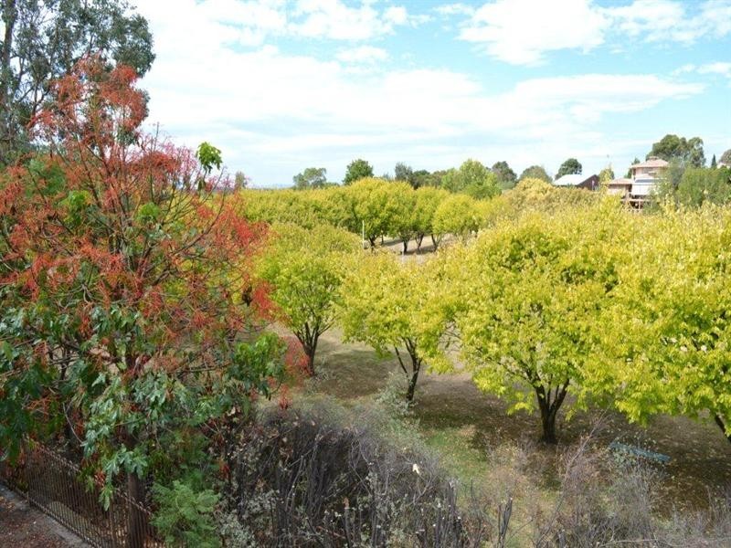 9 Longstaff Court, Doncaster East VIC 3109