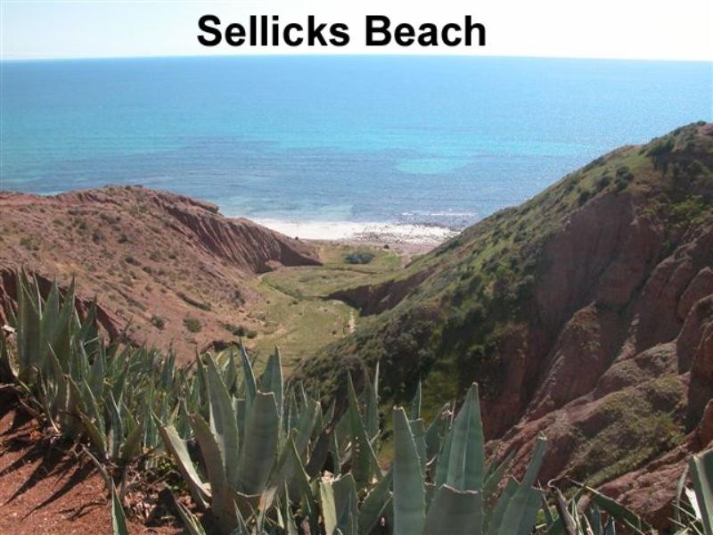 105 Alexander Street, Sellicks Beach SA 5174