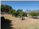 7 Chapman Avenue, Mclaren Vale SA 5171