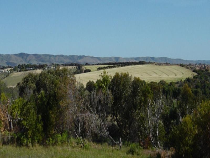 Lot 100, 23 Oleander Road, Maslin Beach SA 5170