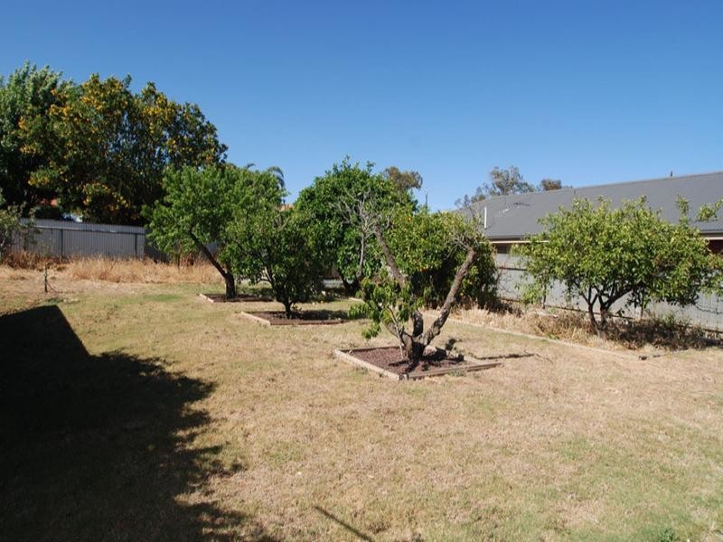 7 Chapman Avenue, Mclaren Vale SA 5171