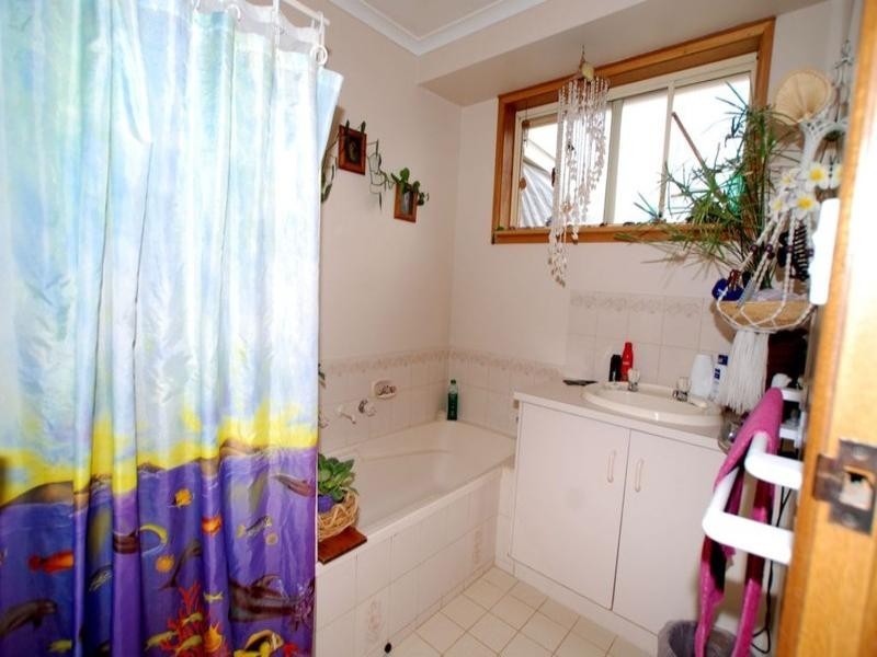 12 Trenerry Street, Aldinga Beach SA 5173