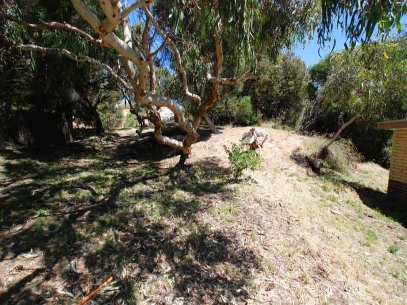 53 Kestrel Terrace, Aldinga Beach SA 5173