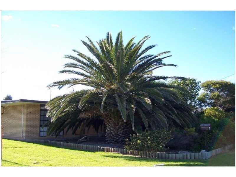 11 Thomas Street, Aldinga Beach SA 5173