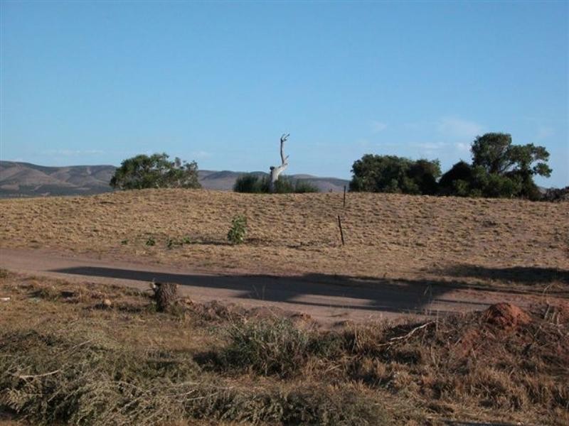 67 Dover Street, Aldinga Beach SA 5173