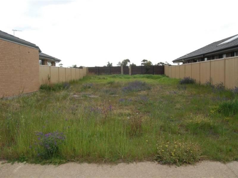 11 Knoll Avenue, Aldinga Beach SA 5173