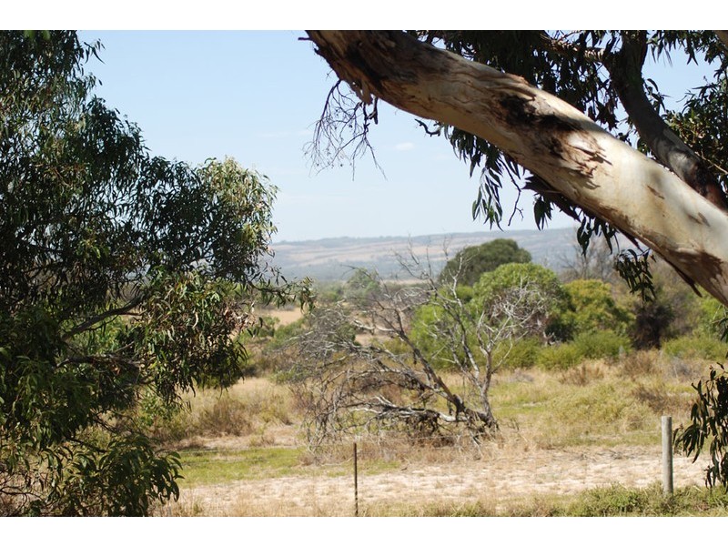 76 Dover Street, Aldinga Beach SA 5173