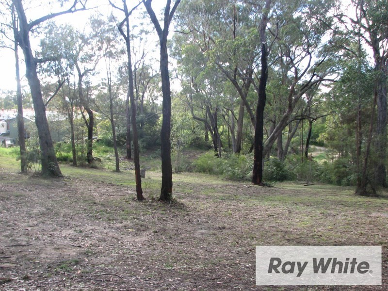 Lot 102 Norwood Road, Buxton NSW 2571