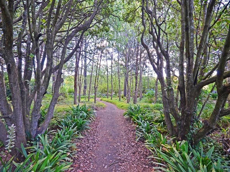 1445 Barkers Lodge Road, Oakdale NSW 2570