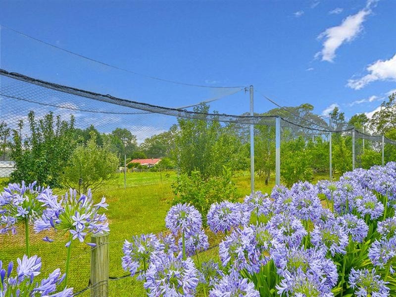 1445 Barkers Lodge Road, Oakdale NSW 2570