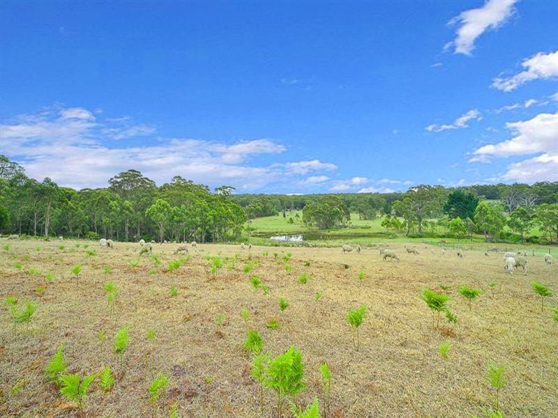 1445 Barkers Lodge Road, Oakdale NSW 2570