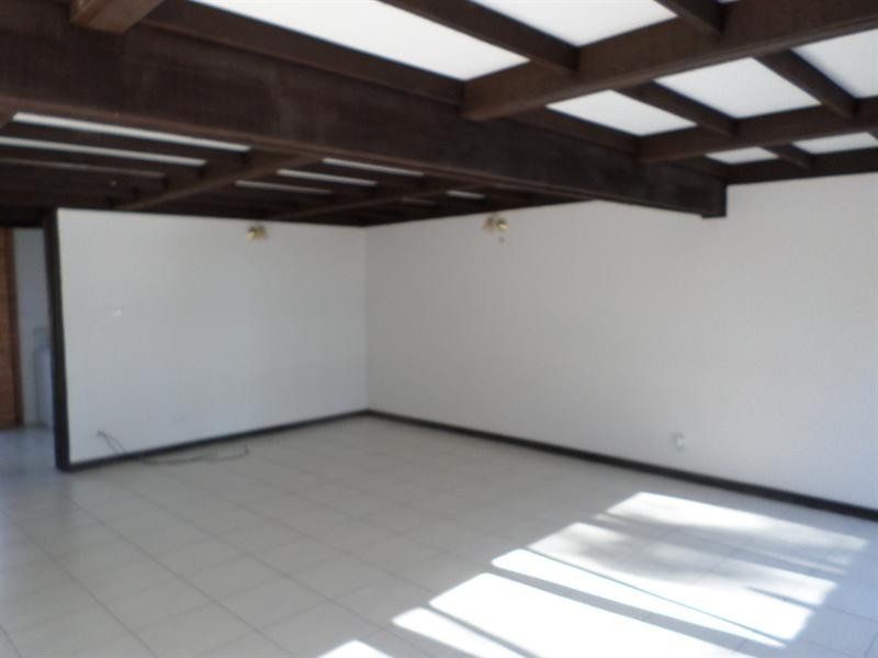 35 Cummins Road, Menangle NSW 2568