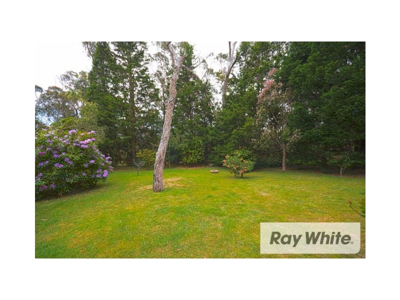 4 Grandview Parade, Hill Top NSW 2575