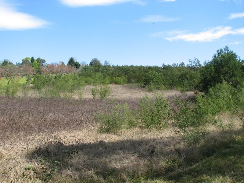 485 Argyle Street, Picton NSW 2571