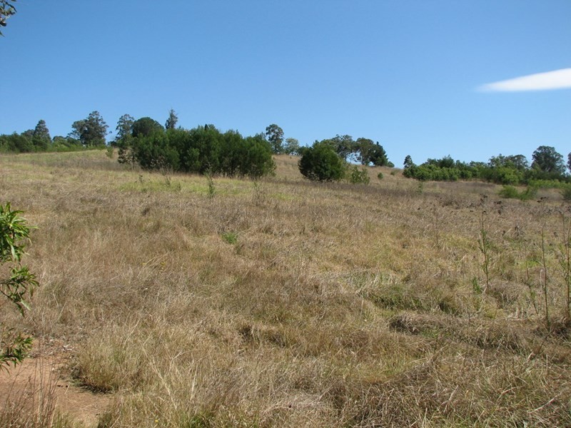 485 Argyle Street, Picton NSW 2571