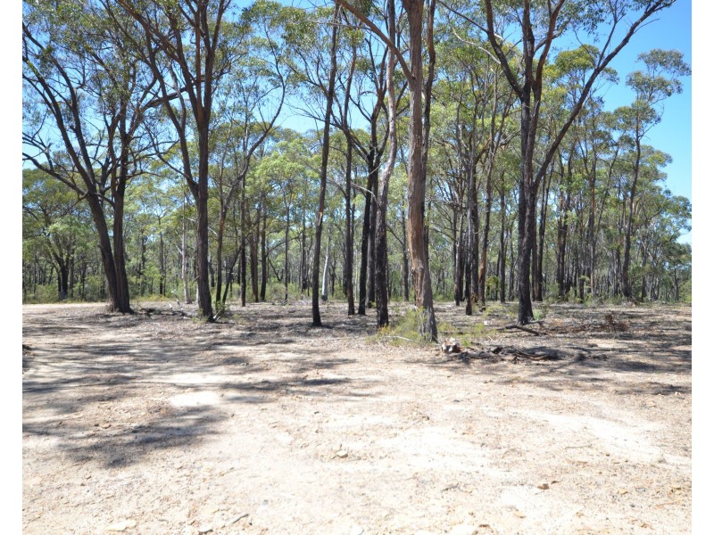 Lot 52 Balmoral Park Road, Buxton NSW 2571