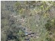 105 Kent Road, Picton NSW 2571
