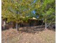 13 Rockford Road, Tahmoor NSW 2573