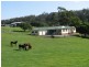 Picton NSW 2571
